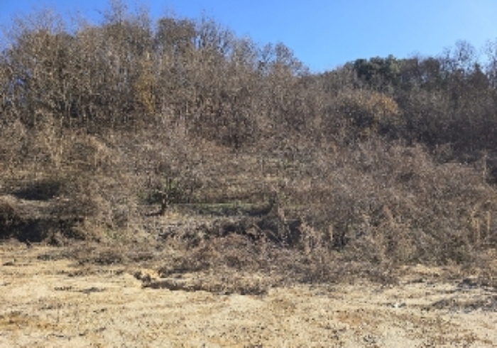 목적물 5번