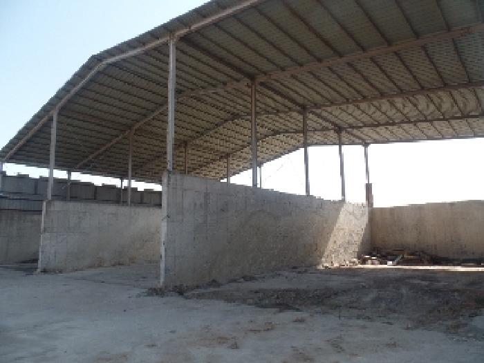 제시외 ㅌ.원토장