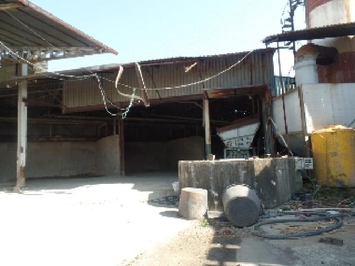 기호 13. 원토장