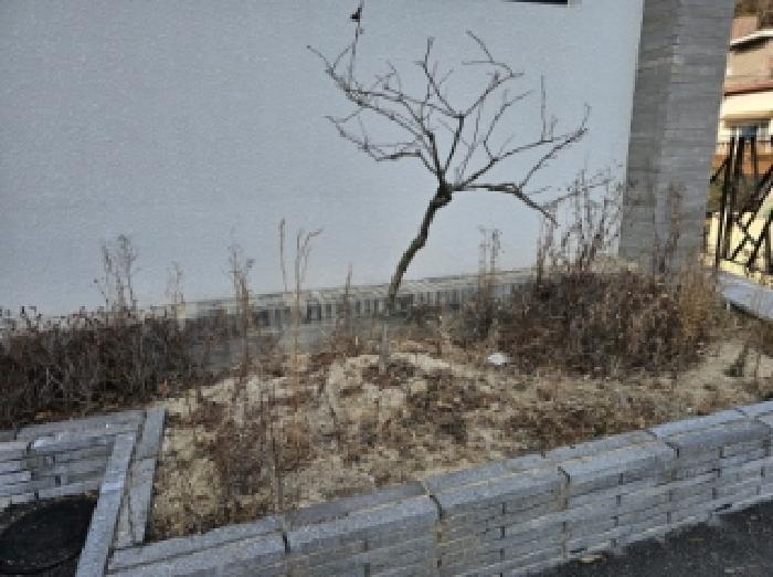 물건번호1 수목