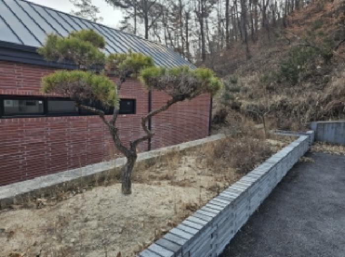 물건번호3 수목