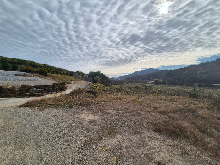 일련번호4) 전경