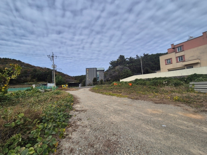 일련번호 5) 전경