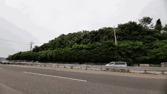 기호1.2 임야 로변 모습