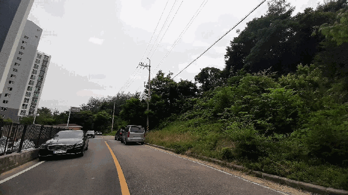 기호1 임야 도로변 하단부 모습
