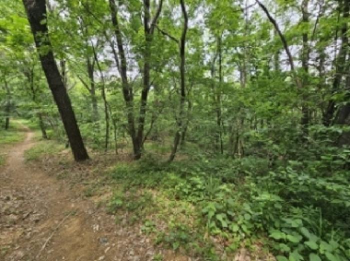 목록 3번 전경(지상 일부는 등산로와 접한 것으로 보임)