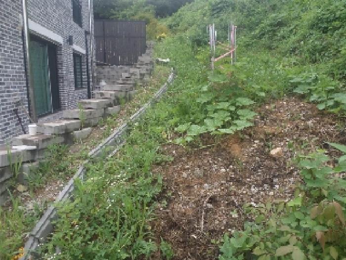 사진2. 목록1 토지 중 일부 전으로 경작되고 있는 부분의 모습