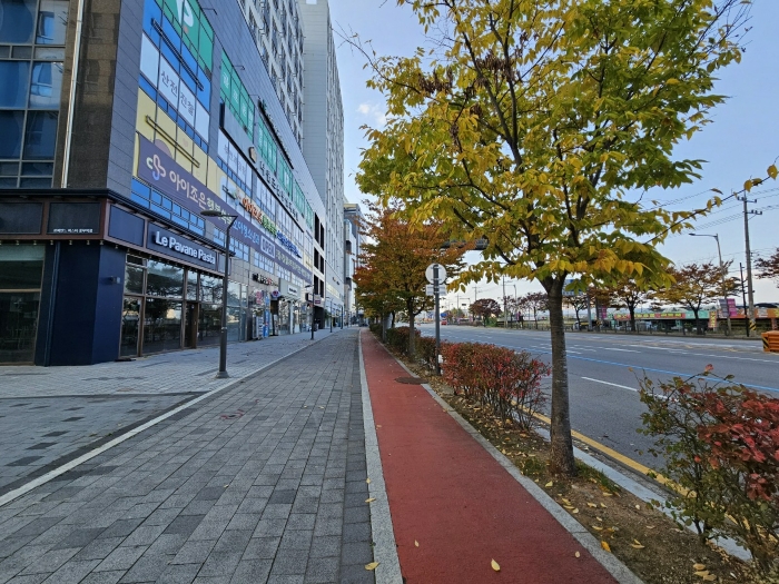 [본건 광대로 주변 전경]