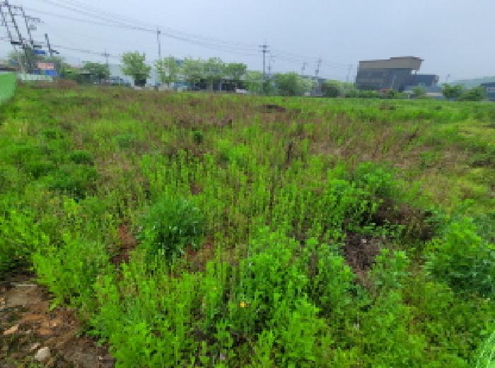 목록 1,2. 모습 2