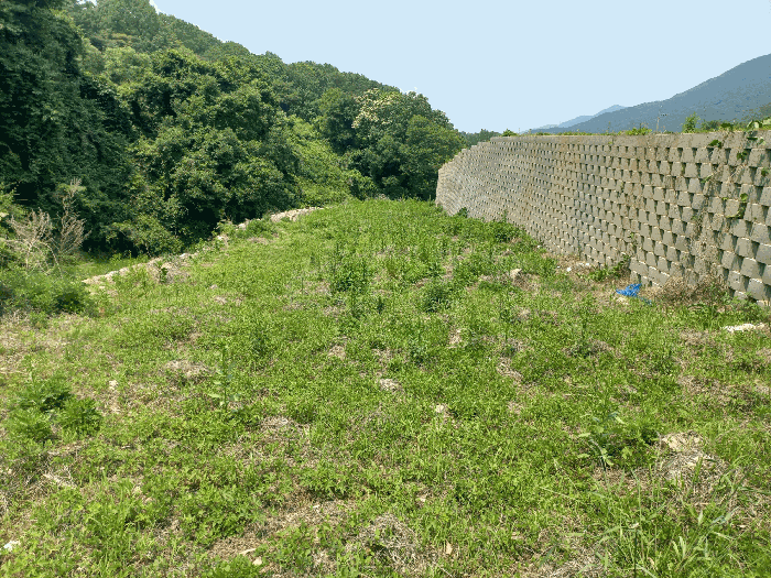 기호(2)