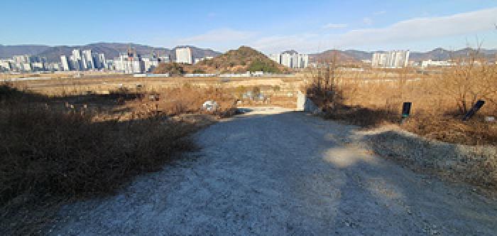 기호 1,3 토지 전경