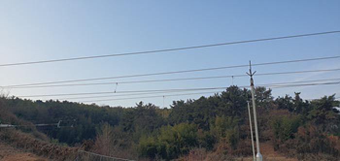 기호 7번 토지 전경