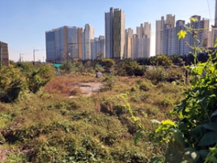 본 건 및 주변전경