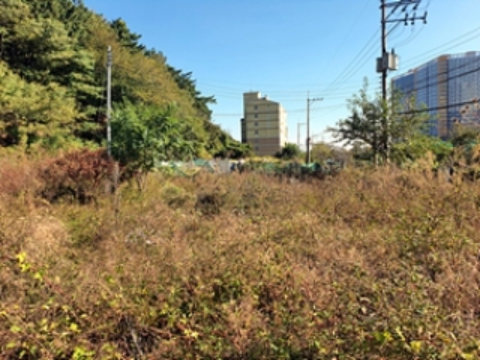 본 건 및 주변전경