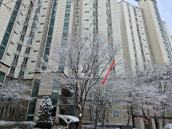 본건 전경
