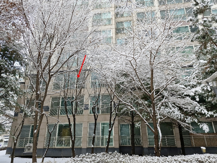 본건 전경