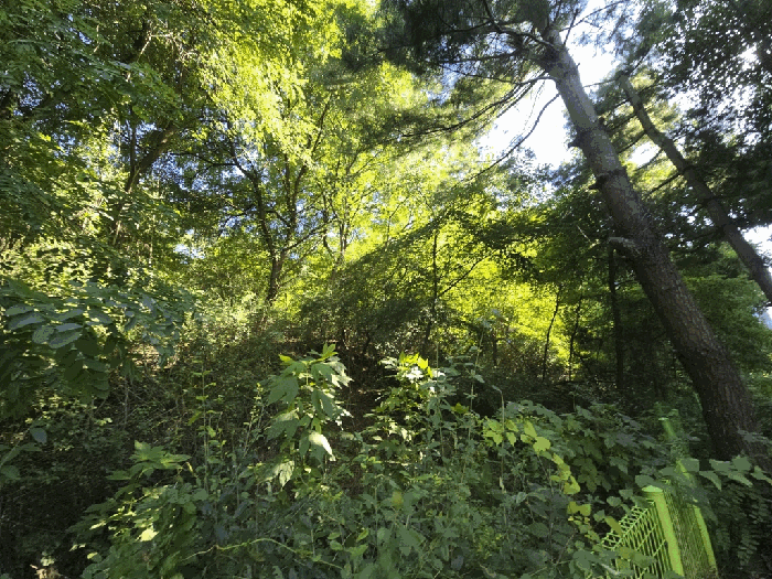 일련번호 1 전경