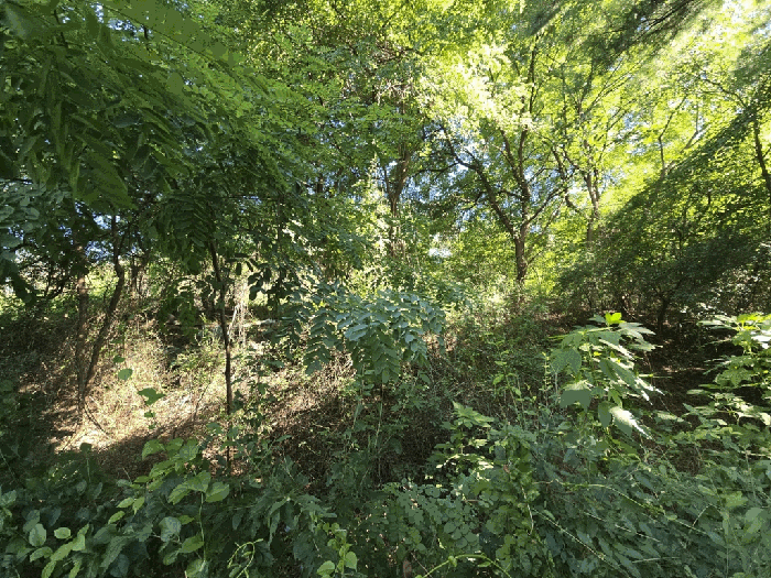 일련번호 2 전경