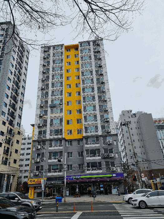 삼익플라주아파트 제201동
(서측에서 본 전경)