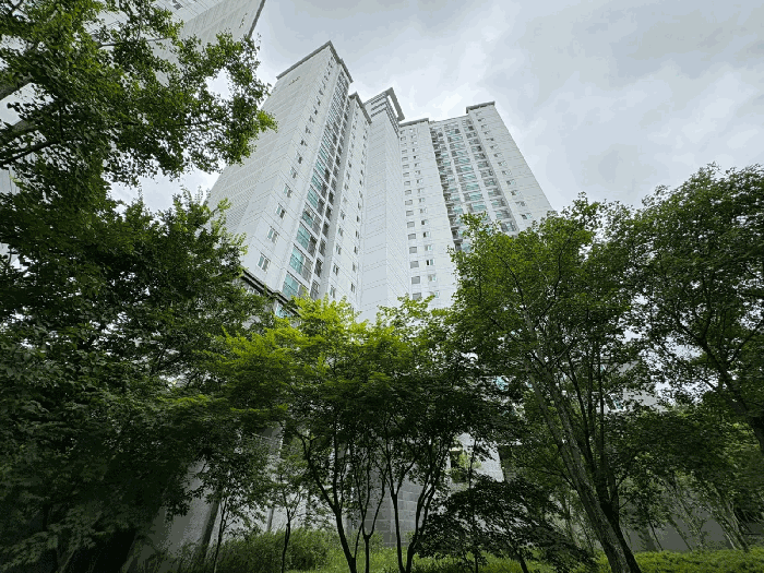 본건 전경