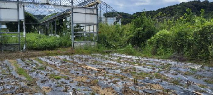 목록2 공장용지 전경(1)