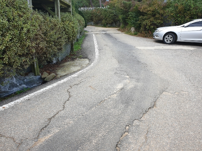 기호(2)토지 현황 도로부분