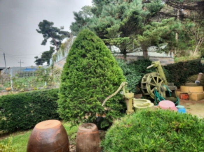 목록2. 지상위의 정원수