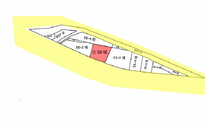 지적 및 건물개황도