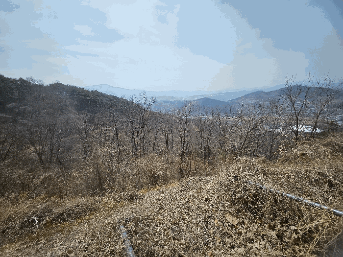 본건 허가제외 부분
