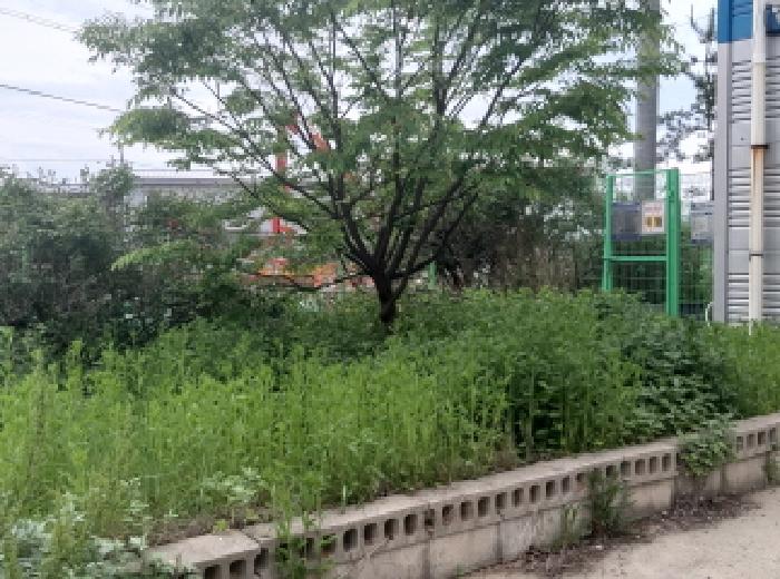 * 본건 목적물 1. 지상 화단 전경