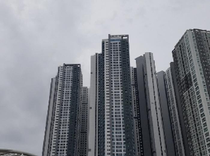 [사진 1]