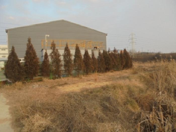 제시외 수목 전경