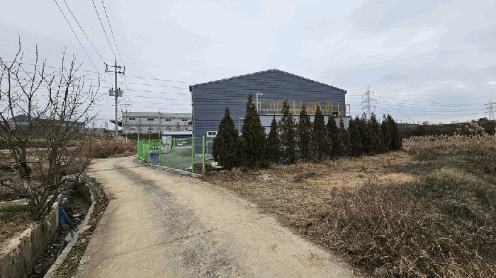 본건 토지(1) 및 제시외수목 ㉡(남서측에서 촬영)