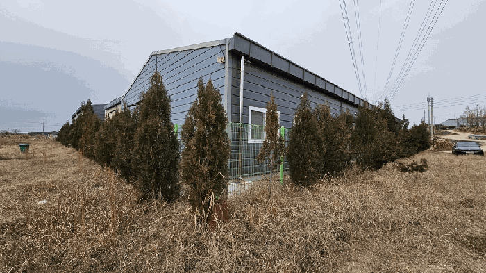 본건 건물(2-1) 및 제시외수목 ㉡