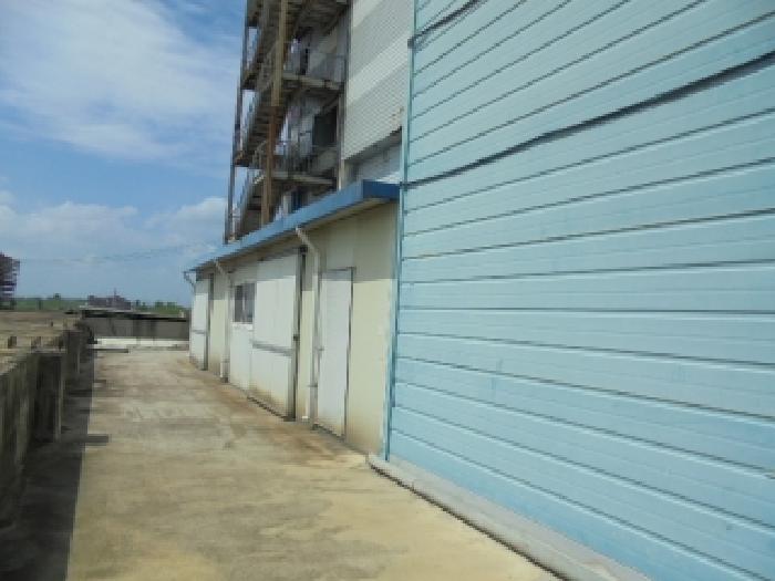 제시외 건물 전경