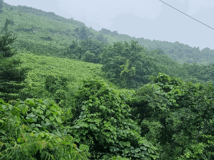 본건 일부 전경