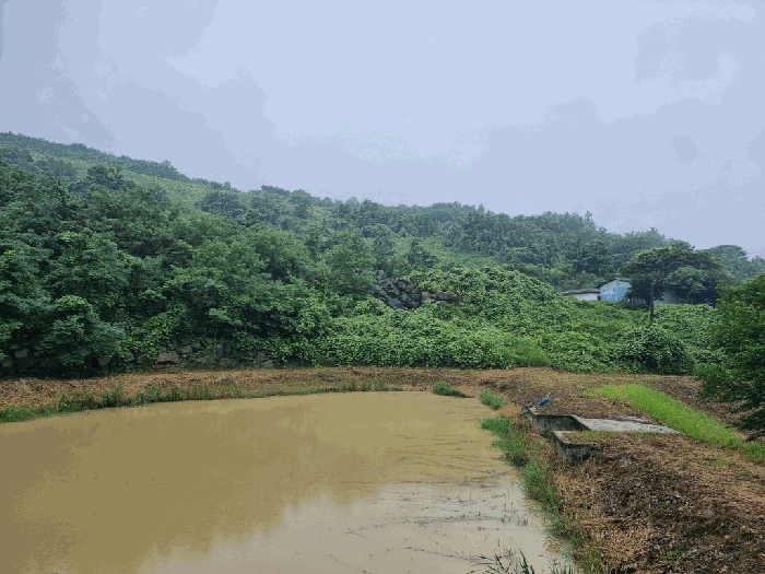 본건 일부 전경