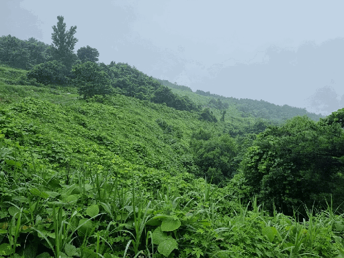 본건 일부 전경