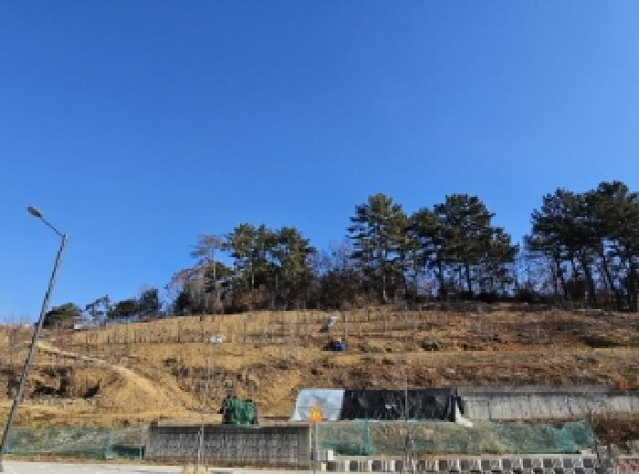 전경