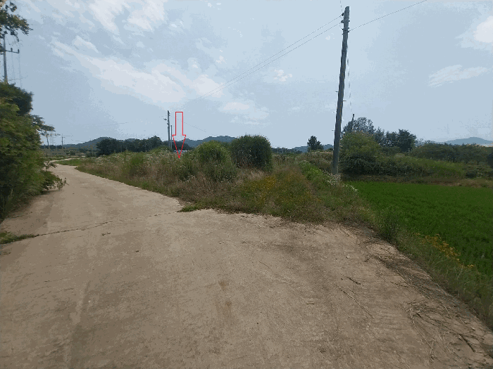 본 건 전 경
(기호 1)