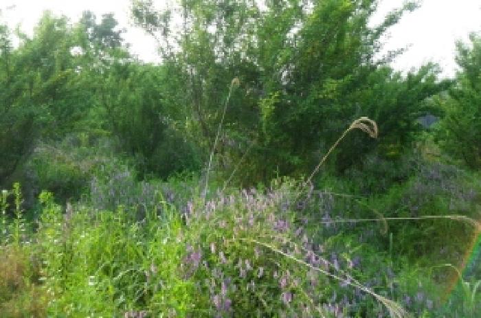 부동산표시 제1호