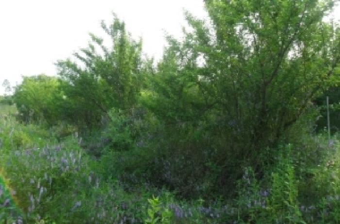 부동산표시 제1호