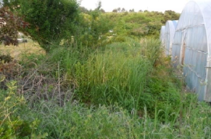 부동산표시 제4호