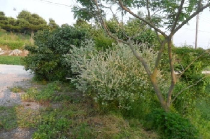 부동산표시 제4호