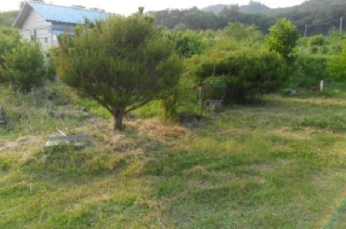 부동산표시 제9호