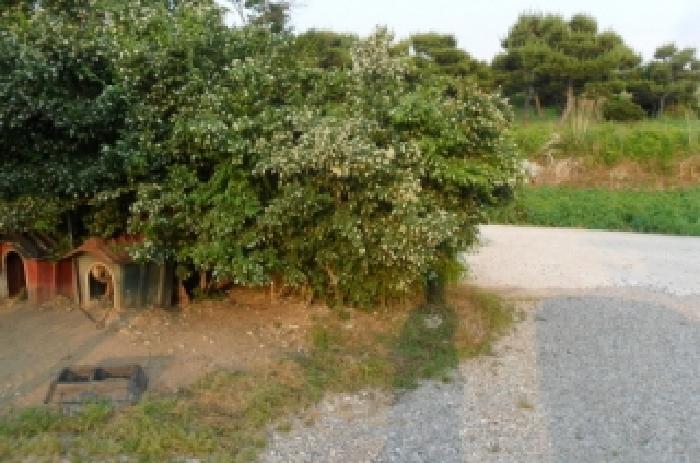 부동산표시 제5호