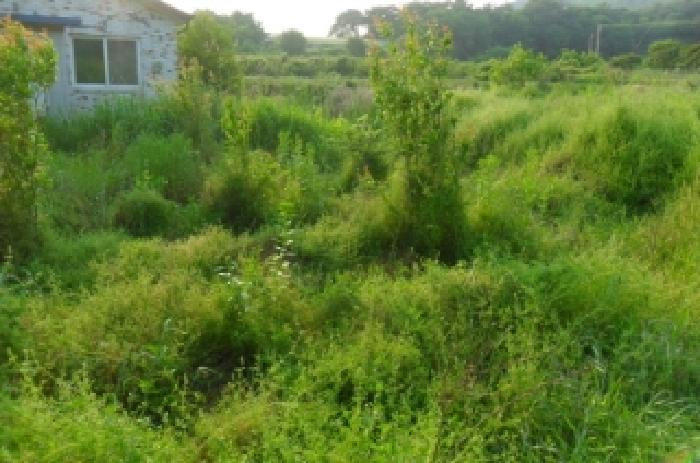 부동산표시 제6호