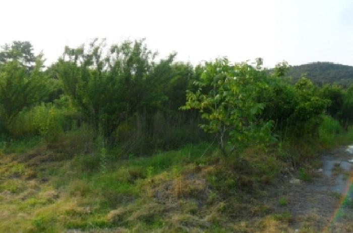 부동산표시 제7호