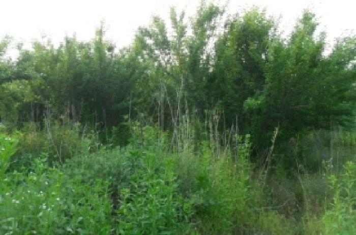 부동산표시 제7호