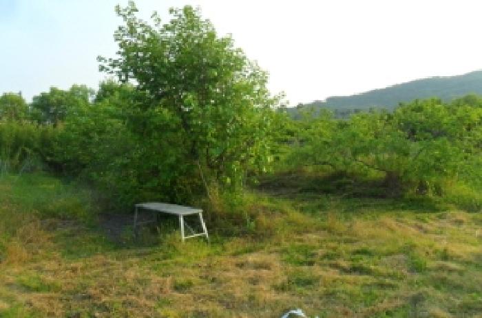 부동산표시 제8호